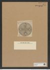 Aulacodiscus auklandicus Grun (de-Toni-Nr.: Genus 182, Species 4541) Zeichnungen Sammlung Grunow Nr. 8141 (NHMW-BOT-W0377497)